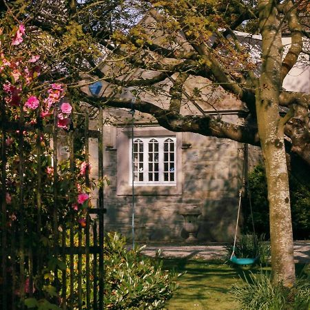 Vila The Alms House Strangford Exteriér fotografie